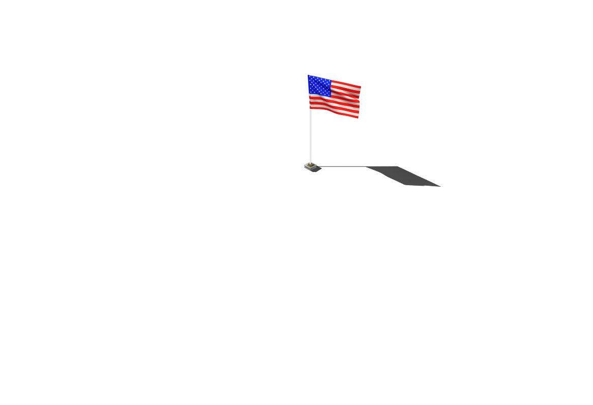 USA US Flag