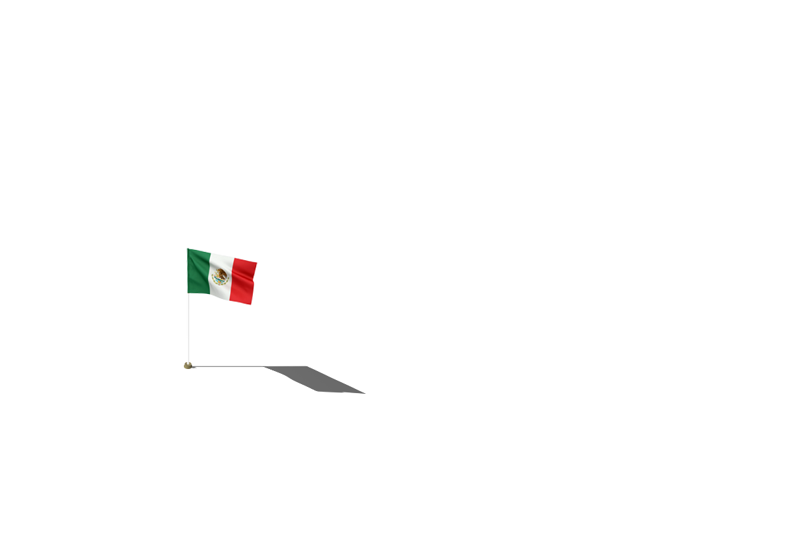 Mexico Flag